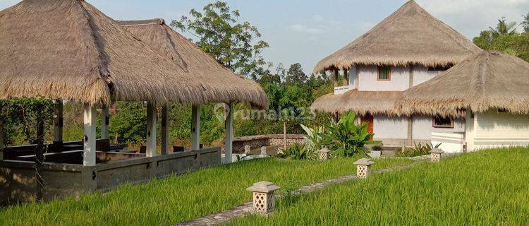 VILLA FOR SALE WITH OCEAN AND RICE FIELD VIEW 1