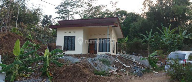 Rumah Mungil Halaman Luas Nuansa Villa 1