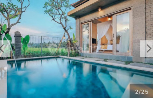 Villa with full view of rice fields in Ubud, Bali, Gianyar 1