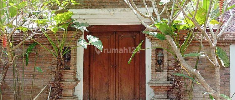 Rumah Klasik Pedesaan Palagan Pinggir Kali 1