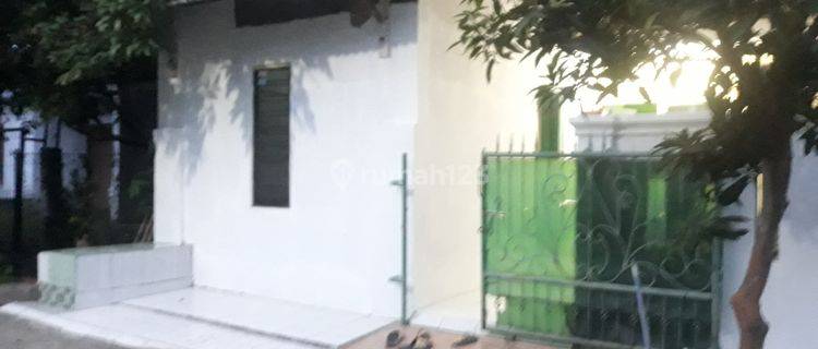 Rumah Asri Tenang, Di Jonggol Bogor Jawa Barat 1