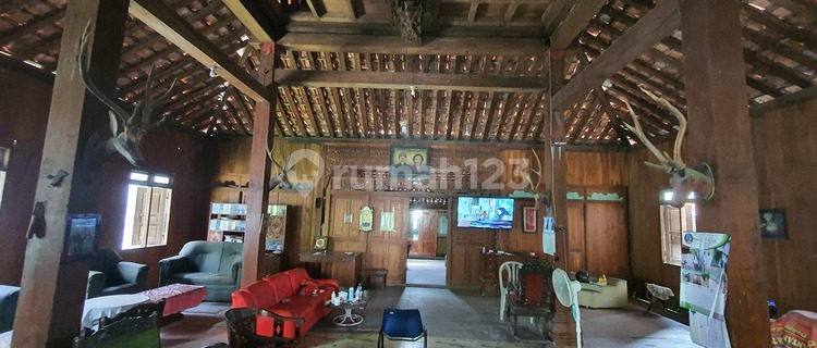 Joglo Langka Kayu Jati Kuno Usia 200 Ratusan Tahun Harga Murah 1