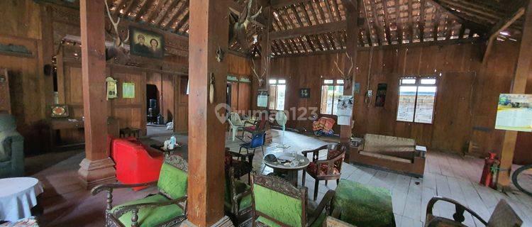 Rumah Joglo Antik Kayu Jati Kuno Berusia Ratusan Tahun Harga Murah 1