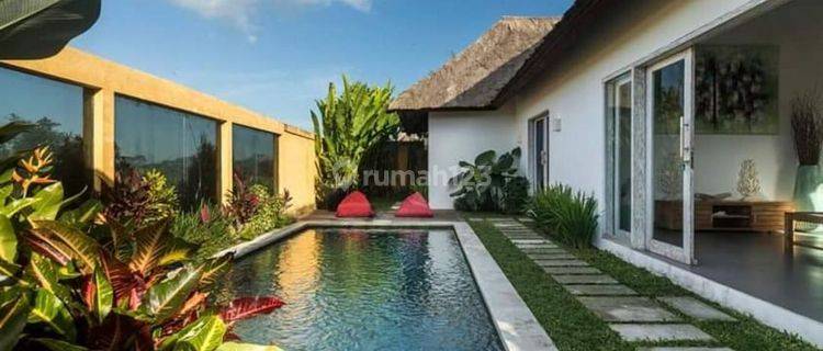 VILLA  MURAH DI UBUD DKT CENTRAL FULL VIEW SAWAH 1