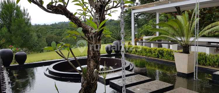 Villa di Taman Dayu Pandaan, Golf Mansion, SHM, Luxury White Tropical Resort 1