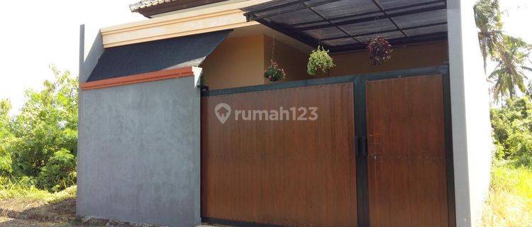 RUMAH MINIMALIS SATU LANTAI UBUD 1