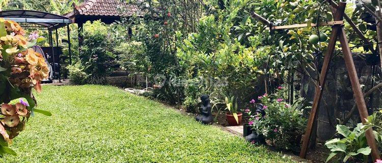 Rumah cantik terawat dengan lahan luas dan suasana pedesaan 1