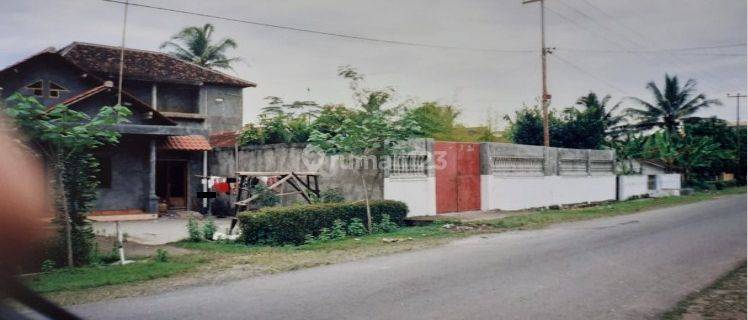 rumah walet di pinggir jalan pesawaran 1