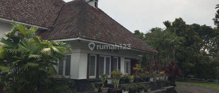 Rumah Jl. DR. Setiabudi, Bandung. 1