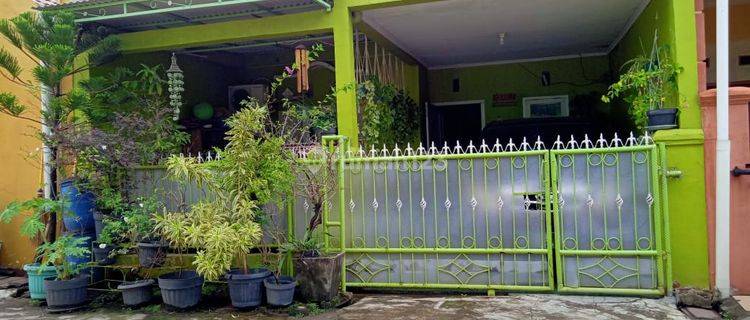 Rumah Siap Huni Taman Alam Lestari Serang 1