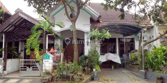 Rumah Besar Lingkungan Elite Banyumanik Semarang 1