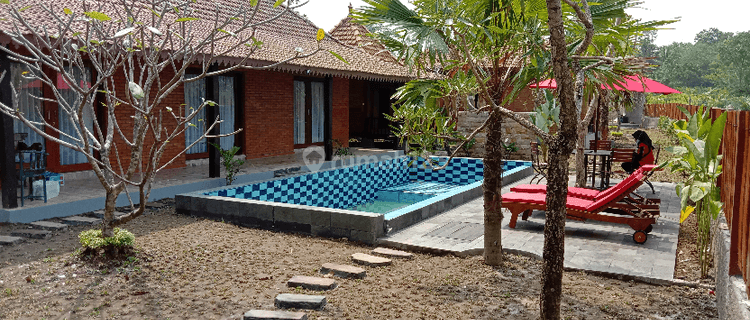 Rumah JOGLO MEWAH + KOLAM RENANG DI PAKEM 1