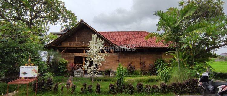 Popular Restaurant includes a house in Lovina Area 1