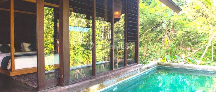 Complex Villa  Located in Keliki Ubud 1