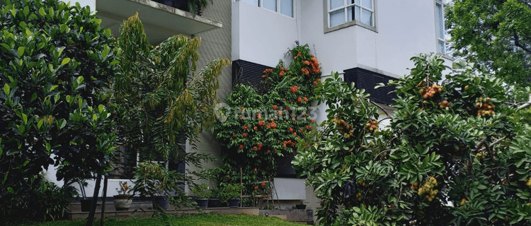 Rumah Besar Di Taman Telaga Golf Bsd 1