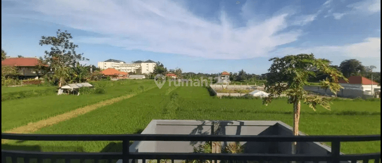 Di  Villa lantai 3 Saba Gianyar 1