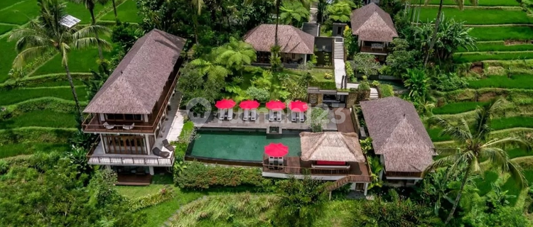 Turun Harga..luxurious And Beautiful Freehold Villa With Jungle Velley , Rice Field And Mountain View At Payangan Ubud, Gianyar Bali 1