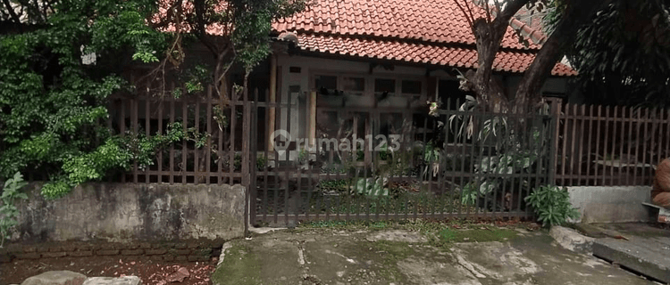 Rumah Tua Hitung Harga Tanah di Cawang Jakarta Timur 1