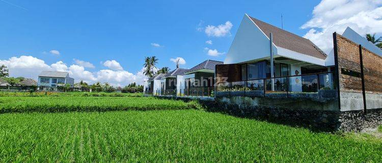 Cheap and Beautiful Villa in Ubud with Rice Field View 1