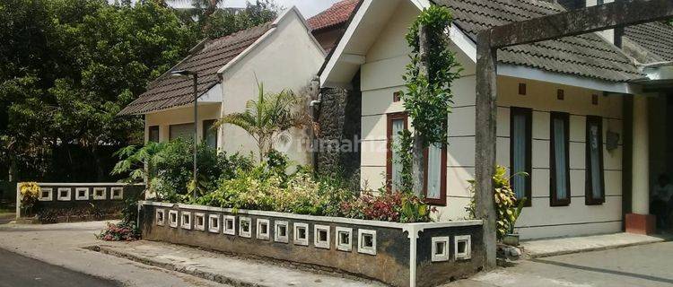 Rumah Murah Halaman Luas Bonus Kebun Buah di Seyegan dkt Pemda Sleman 1