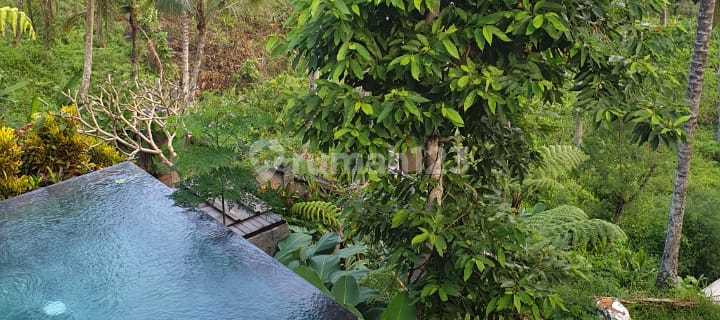 Payangan jungle view villa complex  1