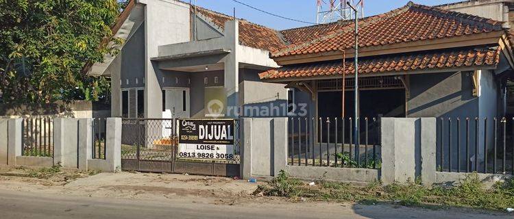 Hunian Oke Jalan Kenanga Cilegon Sedang Turun Harga dari 1,5M 1