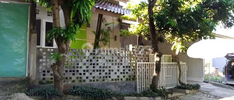 A serene house near UNDIP Semarang, can be developed into a boarding house. 1