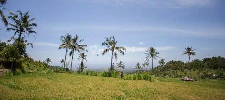 Rice Field View Land For Sale In Singaraja 1