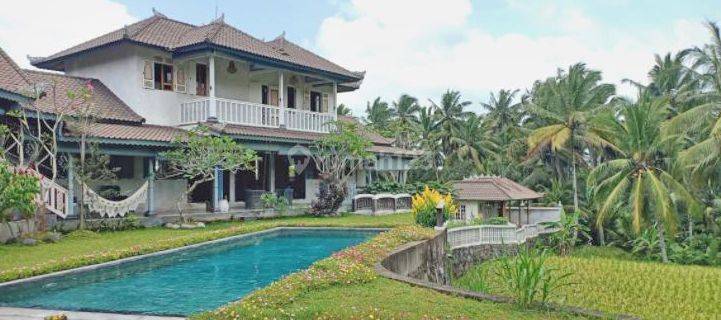 Vila View Sawah Yang Luar Biasa Di Ubud (WYJUBU150) 1