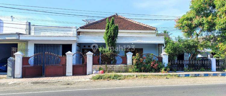 Rumah Murah Tanah Luas Siap Untuk Usaha+Hunian Di Jalan Raya Situbondo..Lokasi Strategis, Trafic Bagus, Lingkungan Aman Dan Nyaman...Harga Nego Pemilik 1