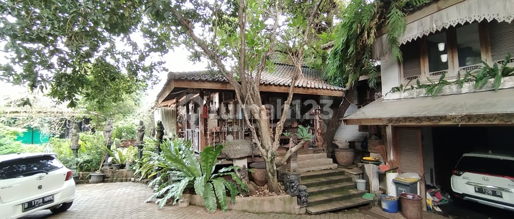 Rumah Joglo Rumah Kebun Rasa villa JakSel Hitung Tanah 16.9M 1