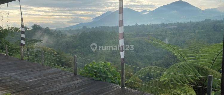 LANGKA! VILLA CANTIK BEDUGUL ECO RETREAT 1