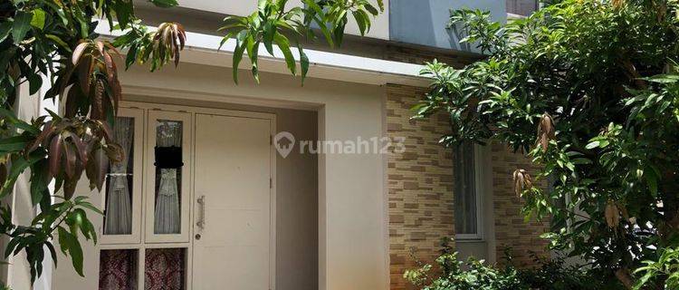 Cluster Thomson Rumah Bagus 2 Lantai Siap Huni di Summarecon Serpong 1