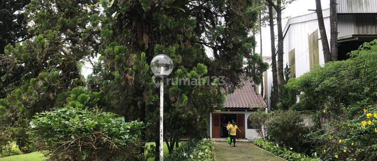 Dijual Cepat Harga Dibawah NJOP Villa Cantik Cisarua Bogor 1