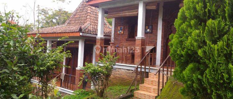 Villa Ismoyo Lerep, Ungaran Kabupaten Semarang 1