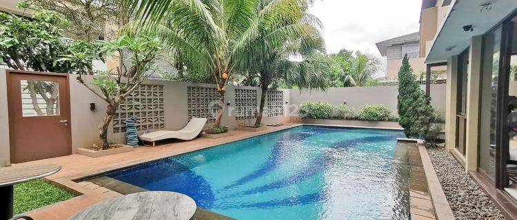 Rumah Mewah Siap Huni w/ Swimming Pool Cluster Brassia - De Park, BSD City Tangerang 1