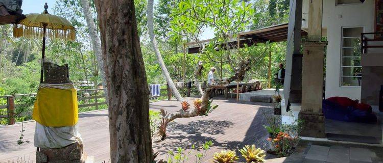 Villa los sungai radius ubud 1