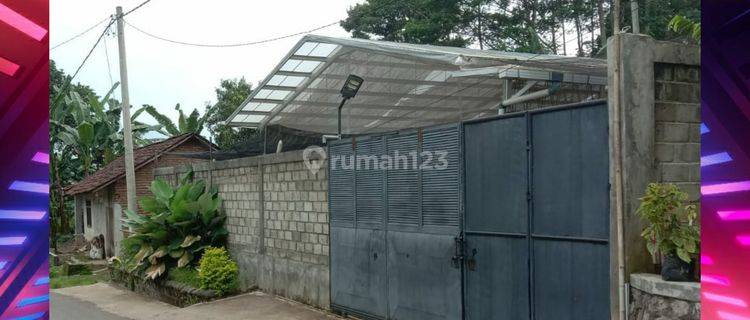 Rumah Kebun Hidroponik Produktif. Usaha Masih Running Siap Meneruskan 1