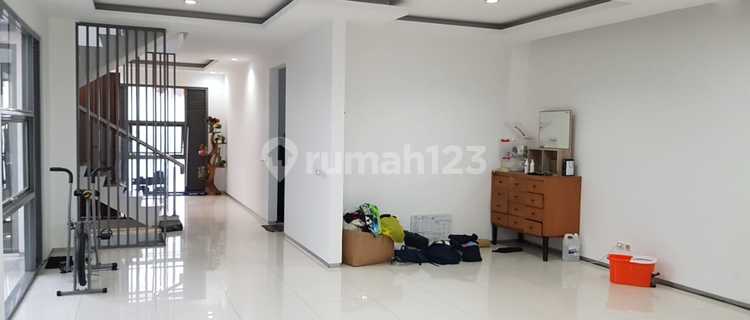 Turun Harga Sayap Riau, Langka, Jarang Ada  1