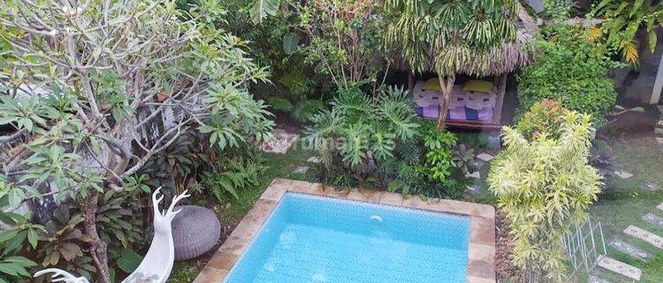 Homestay Dijual Kota Tanah Luas 800 Meter Kodya 1