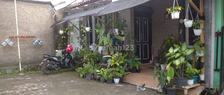 MURAH! Rumah Konsep Tropis Minimalis Strategis Dekat Pusat Kota Cianjur 1