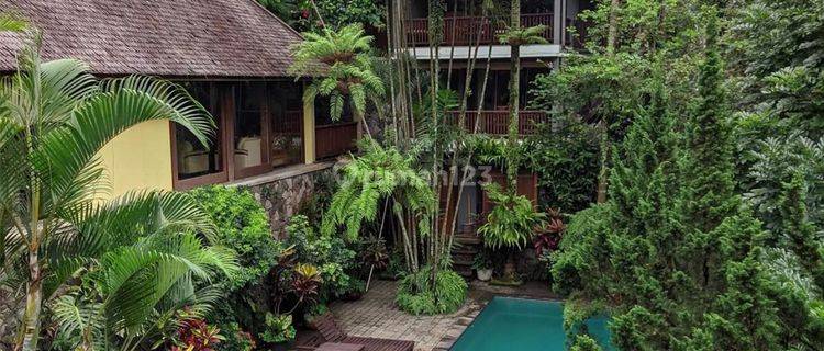 Ubud in Bandung 1