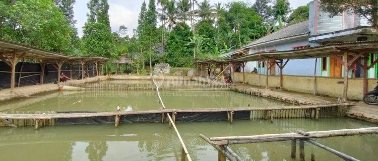 Rumah + Kolam Pemancingan + Sawah Dijual Murah di Pinggir Jalan Purwakarta 1