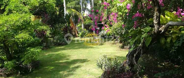 Villa For Sale Location Lovina 1