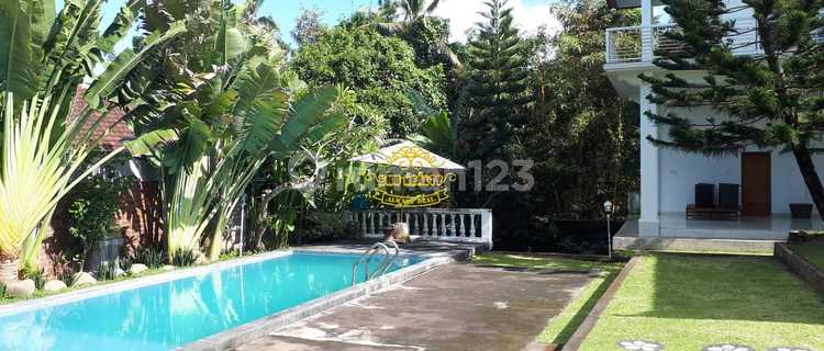 Villa Jual Lokasi Tabanan 1
