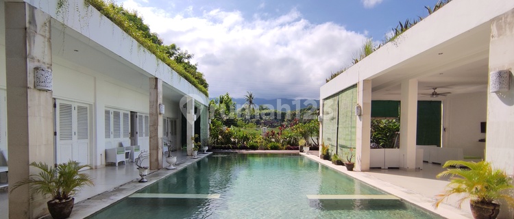 FREEHOLD VILLA IN LOVINA AREA 1