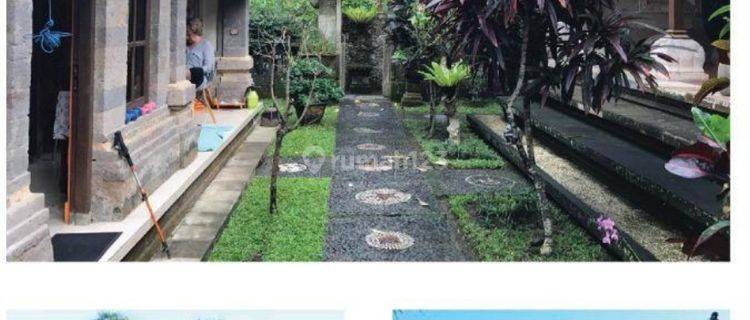 Jarang ada, Turun Harga, Murah Villa di Ubud Bali, style Bali Asli 1