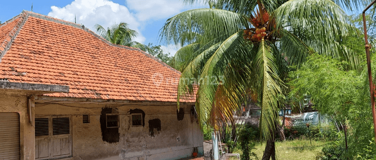 Di JUAL Rumah Lama HITUNG Tanah 1