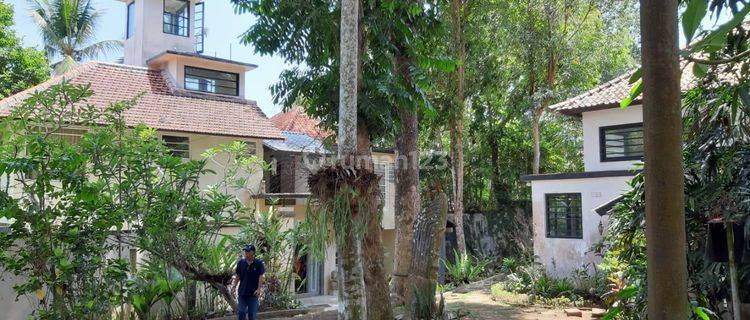 Villa los sungai petanu radius 10 menit ke ubud 1