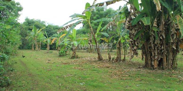 Tanah Di Jual Beach Front 1